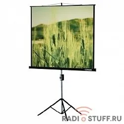 Lumien Master View LMV-100102 Экран на треноге 153x 153см настенно-потолочный рулонный черный 